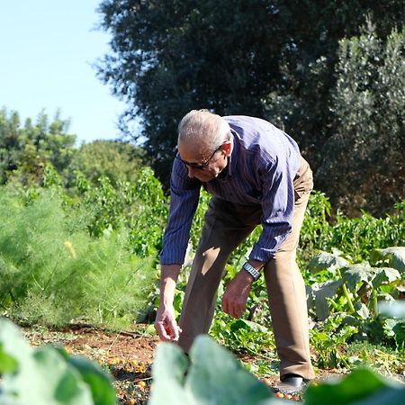 Masseria Grieco ออสตูนี ภายนอก รูปภาพ