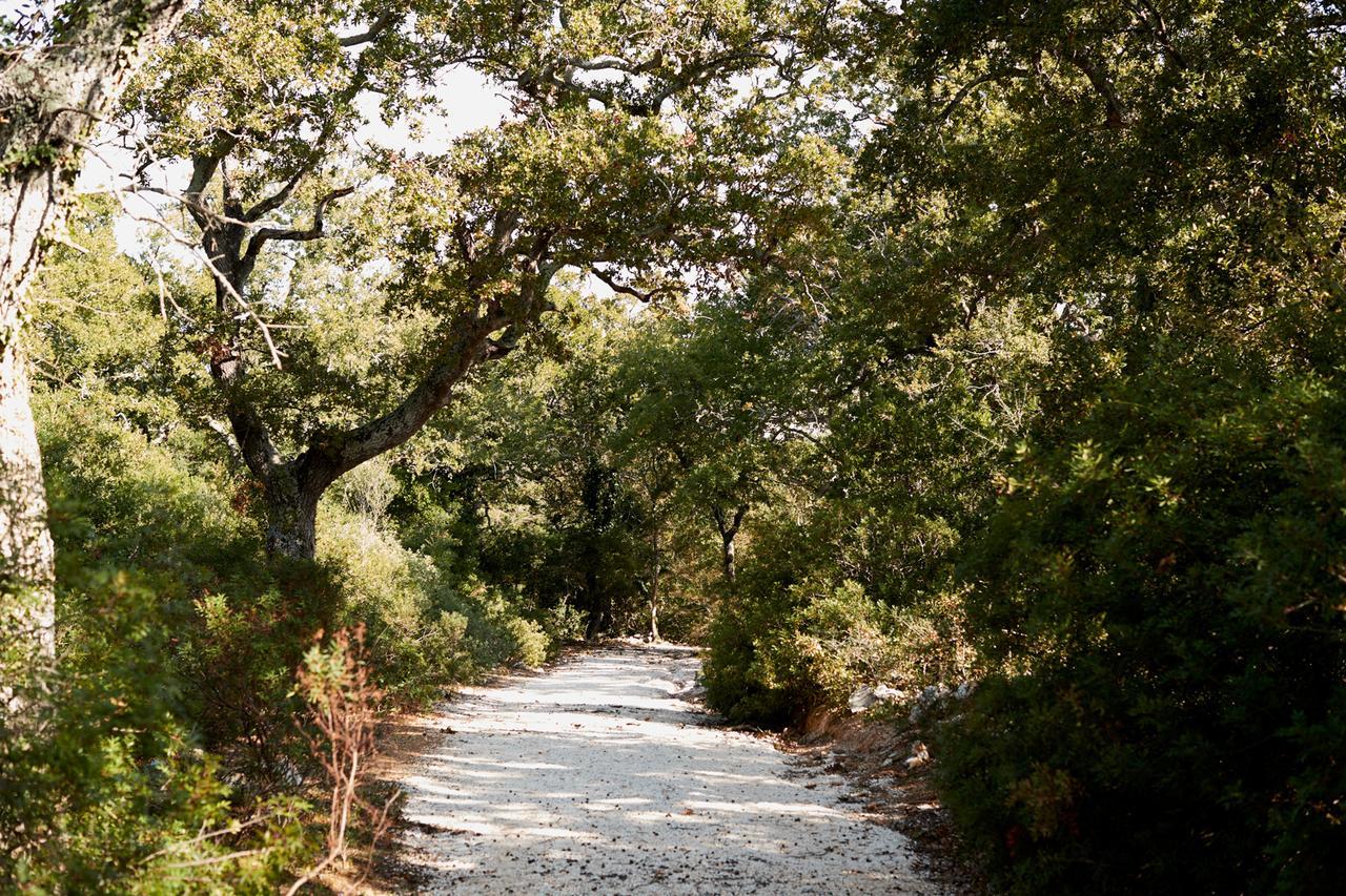 Masseria Grieco ออสตูนี ภายนอก รูปภาพ