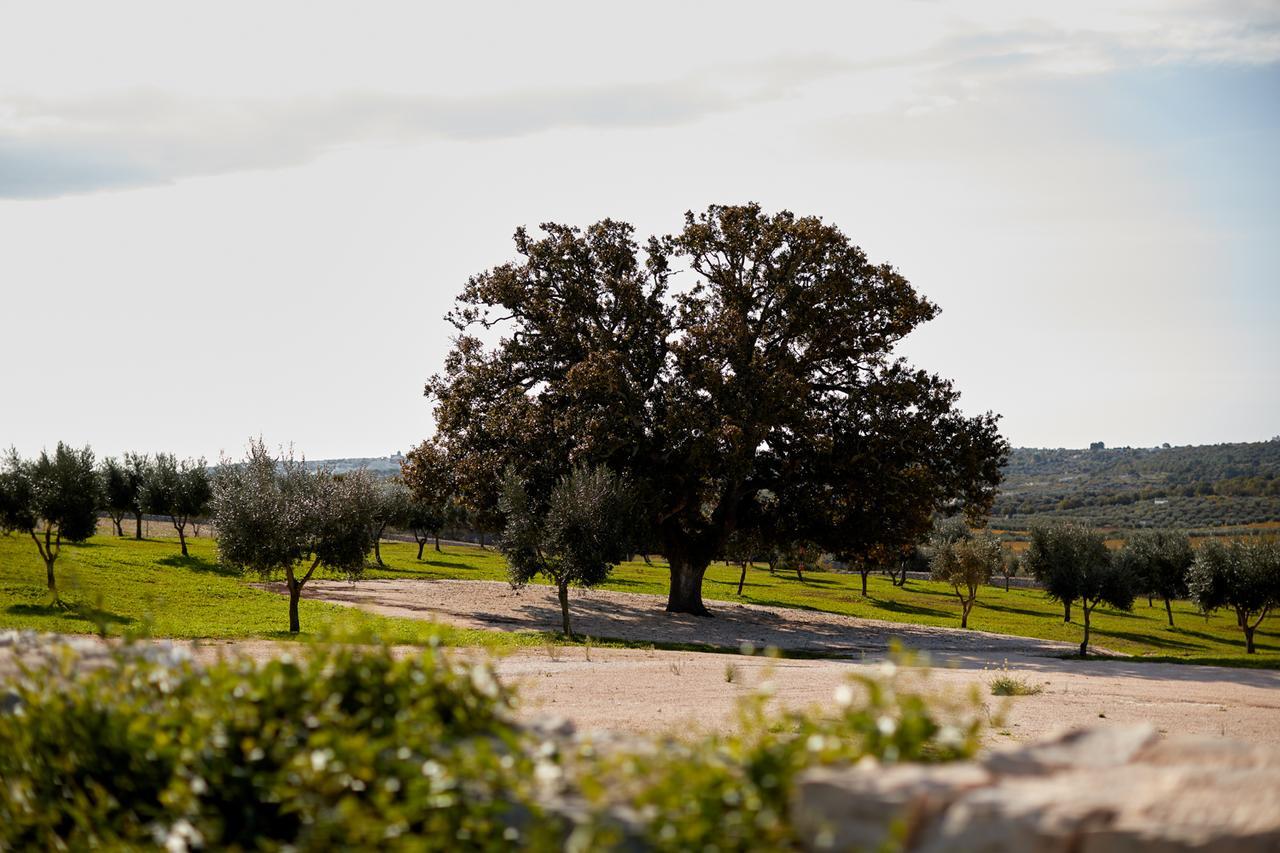 Masseria Grieco ออสตูนี ภายนอก รูปภาพ